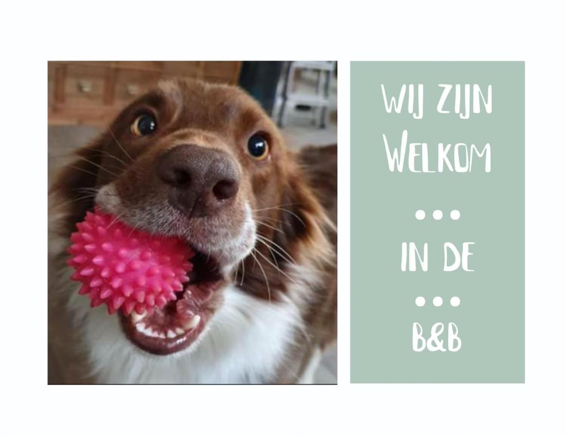 B&B Het Gelders Buitenleven Overasselt Zewnętrze zdjęcie